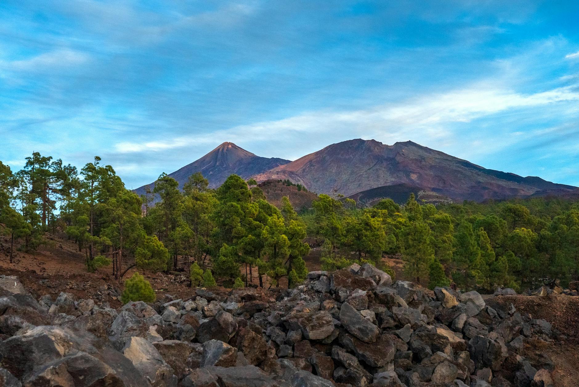 Kostenloses Stock Foto zu aktiver vulkan, baum, berg