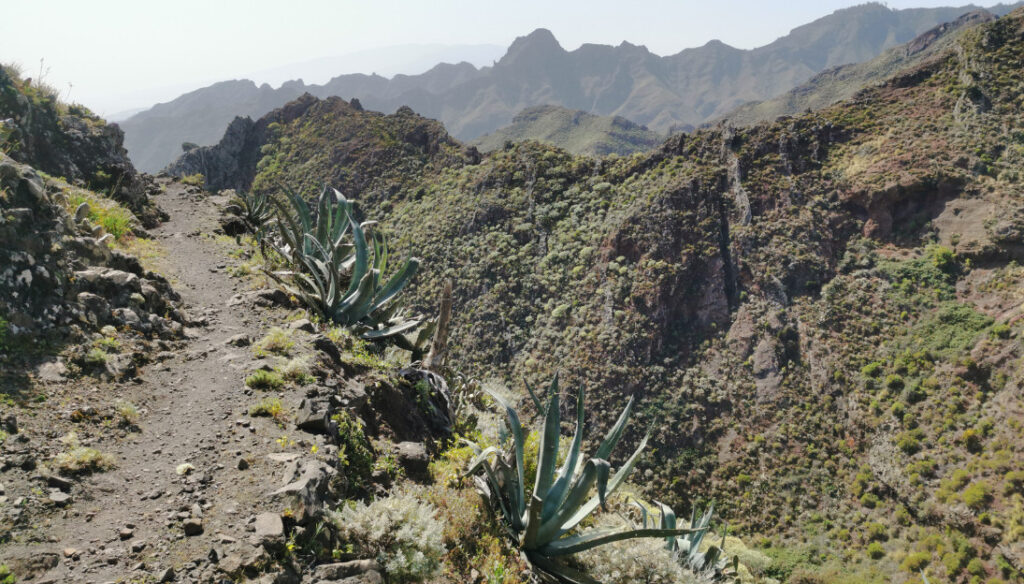 Wandern auf Teneriffa: Entdecke das Paradies für Naturliebhaber