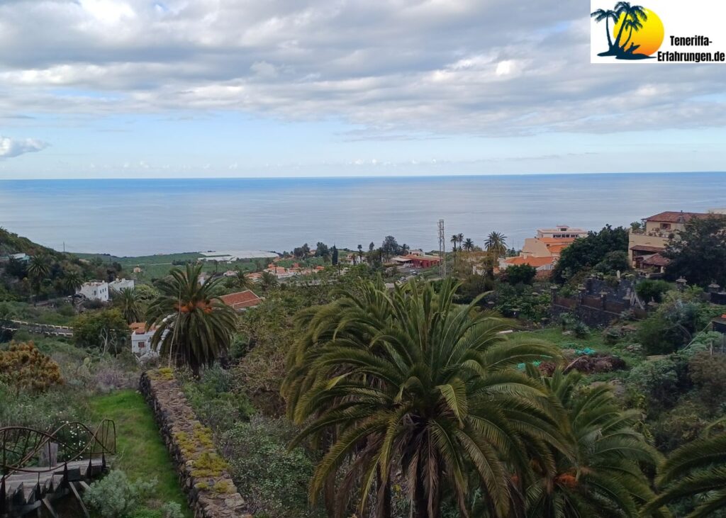 Drago Milenario Drachenbaum - Der tausendjährige Drachenbaum in Icod de los Vinos, Teneriffa - Geschichte, Legenden und Tipps für deinen Besuch! 21 Teneriffa - Icod de los Vinos - drago milenario - Drachenbaum