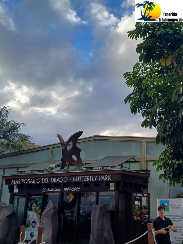 Drago Milenario Drachenbaum - Der tausendjährige Drachenbaum in Icod de los Vinos, Teneriffa - Geschichte, Legenden und Tipps für deinen Besuch! 22 Teneriffa - Icod de los Vinos - Schmetterlingshaus