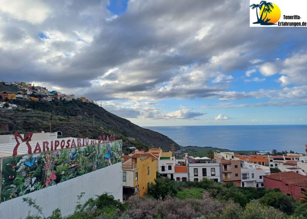 Drago Milenario Drachenbaum - Der tausendjährige Drachenbaum in Icod de los Vinos, Teneriffa - Geschichte, Legenden und Tipps für deinen Besuch! 23 Teneriffa - Icod de los Vinos - Schmetterlingshaus