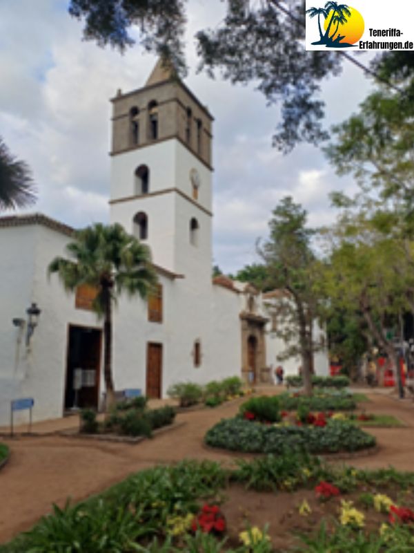 Drago Milenario Drachenbaum - Der tausendjährige Drachenbaum in Icod de los Vinos, Teneriffa - Geschichte, Legenden und Tipps für deinen Besuch! 25 Teneriffa - Icod de los Vinos - drago milenario - Drachenbaum